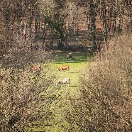 Landsted Pazo De Sedor