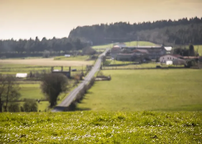 בית כפרי Pazo De Sedor Arzúa